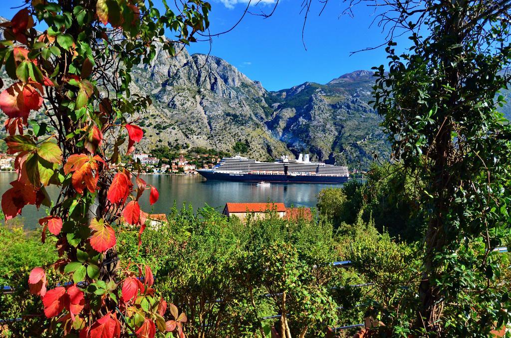 Muo Apartments Kotor Exterior photo