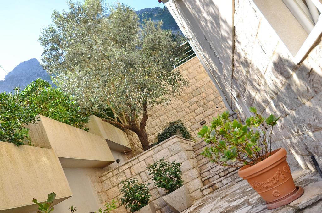 Muo Apartments Kotor Exterior photo